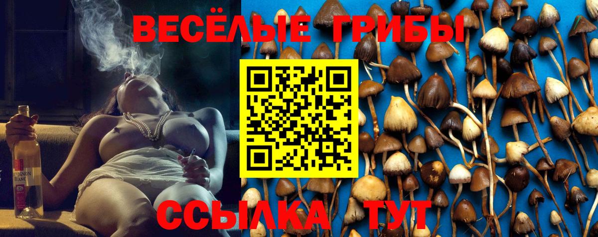 Галлюциногенные грибы прущие грибы Ивантеевка